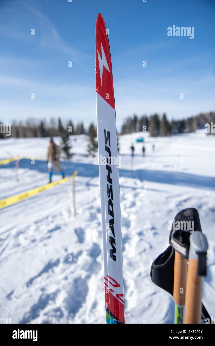 A Madshus nordic ski planted in the snow during Chama Chile Ski Classic in the San Juan Mountains near Chama, New Mexico. Stock Photo