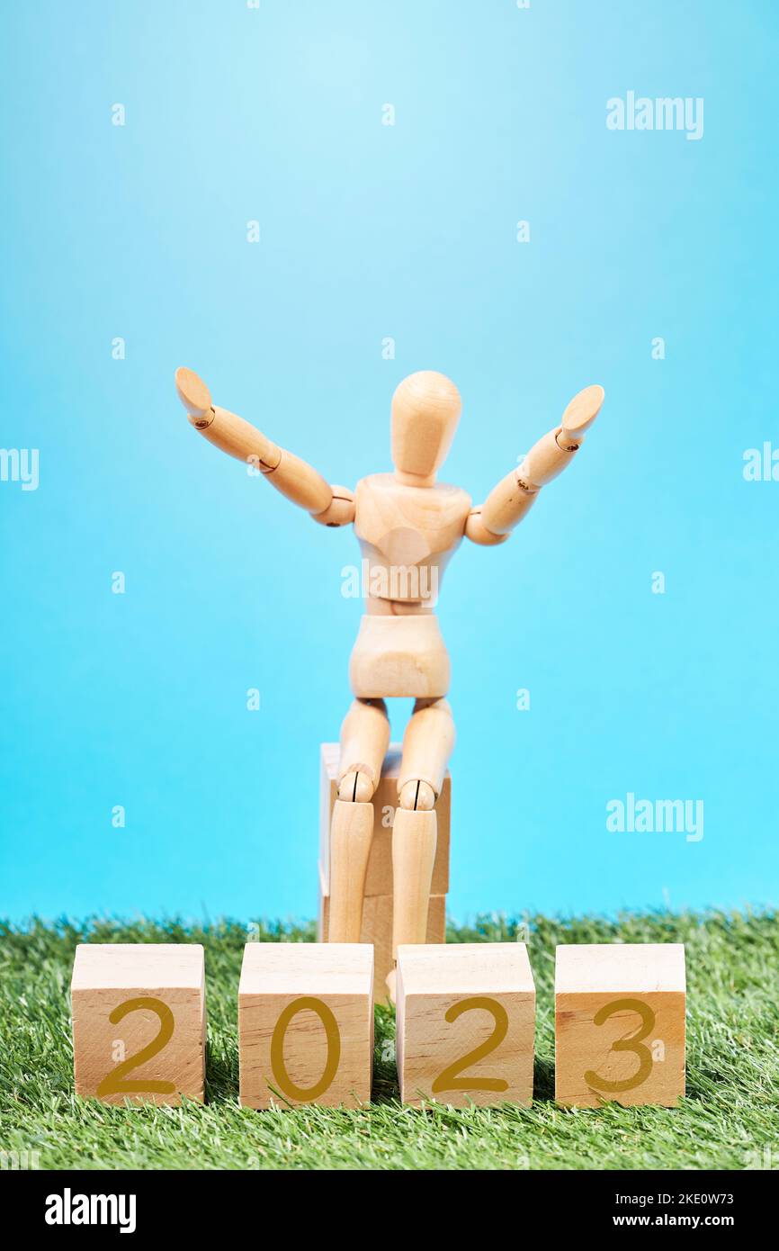 Vertical image of a Dummy sitting next to some cubes with the year 2023 in a grassy meadow. New year concept. Change of year Stock Photo