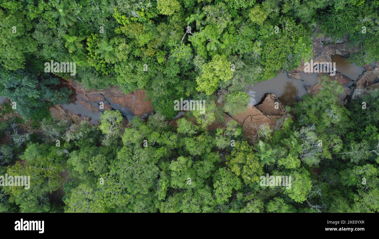 An aerial of a river flowing through the forest with green trees Stock ...