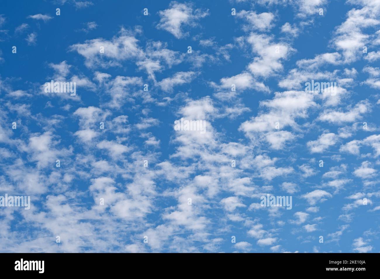 Small fleecy clouds, cirrocumulus, against a blue sky Stock Photo