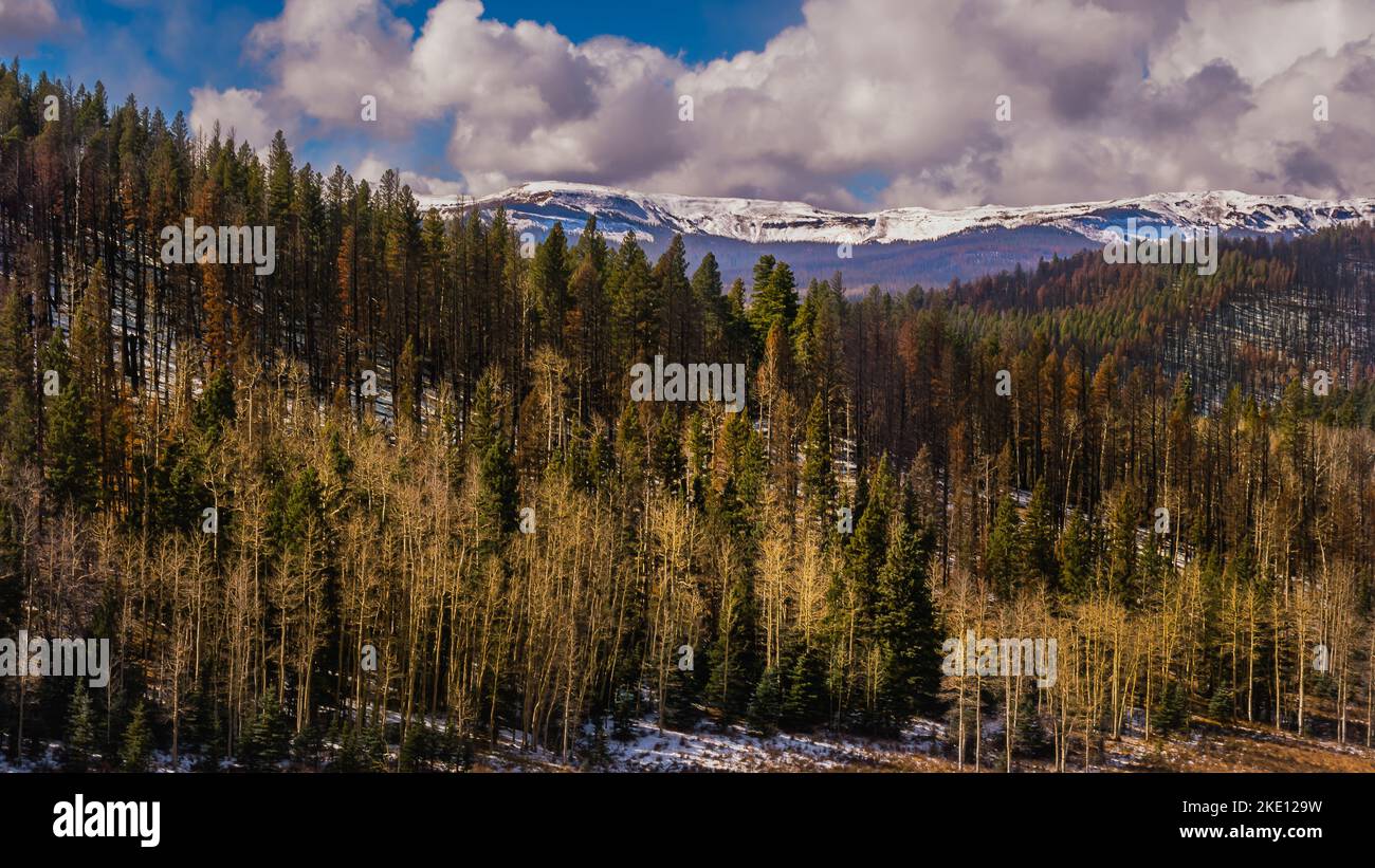 Peak nature trail new mexico hi-res stock photography and images - Alamy