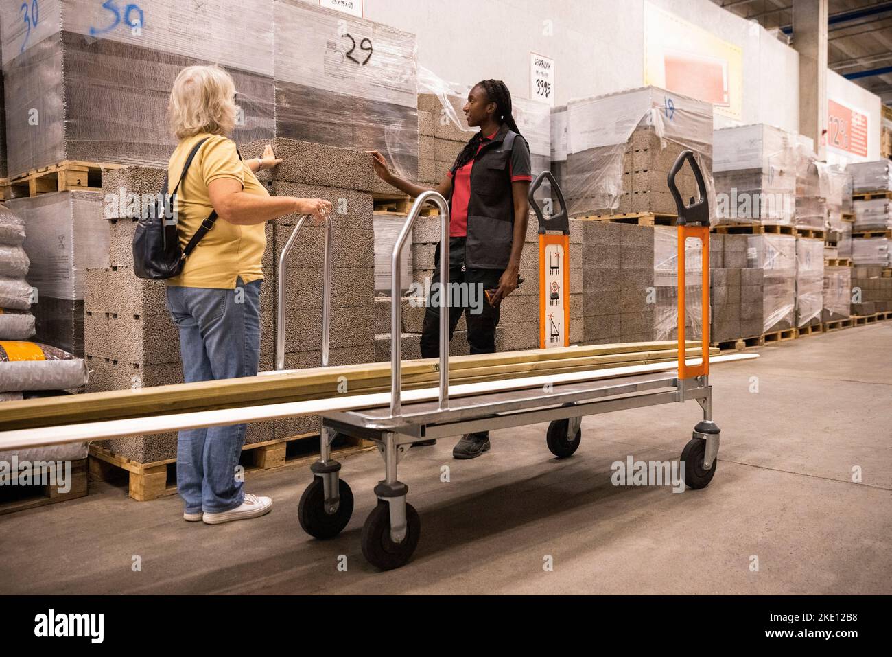 Female customer near cart talking with sales staff at hardware store Stock Photo