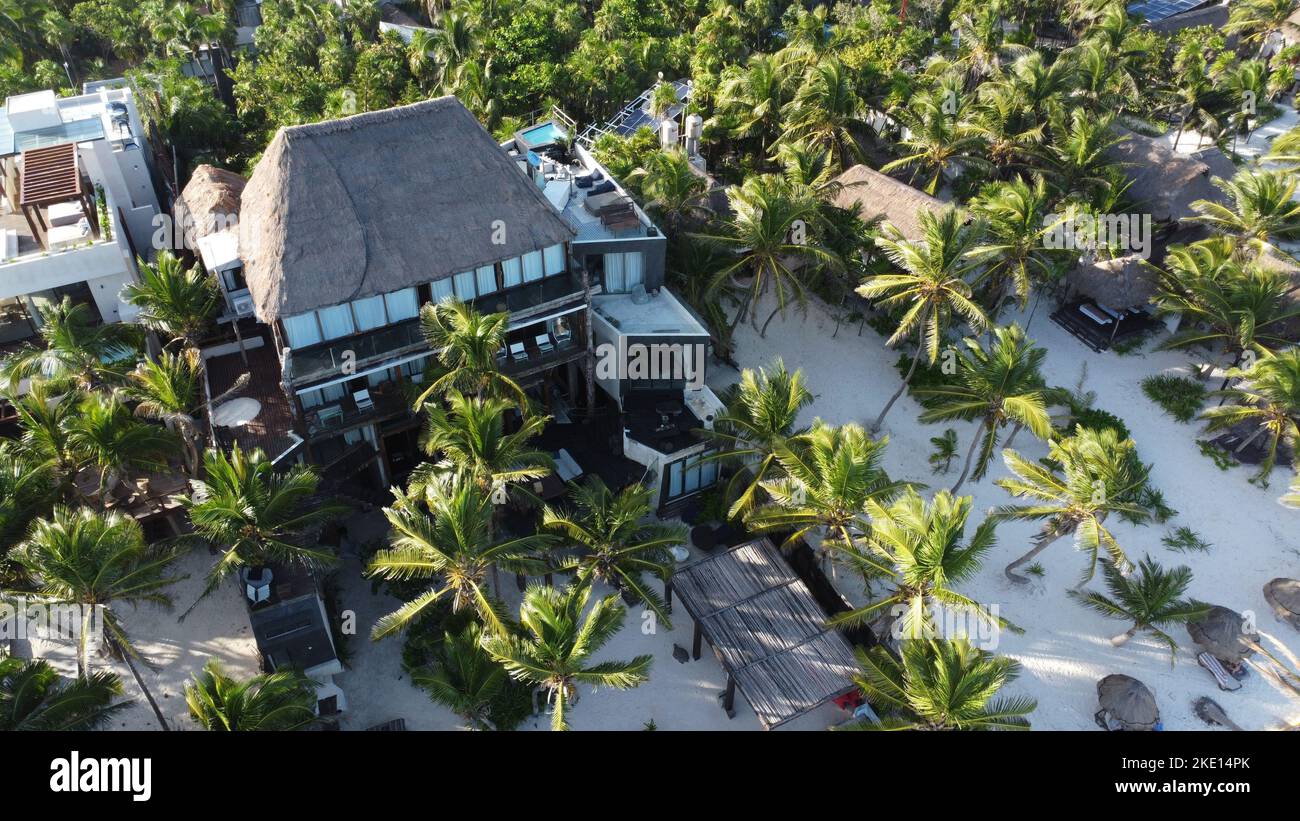 A bird's eye view of a tropical resort surrounded by palm trees on a ...