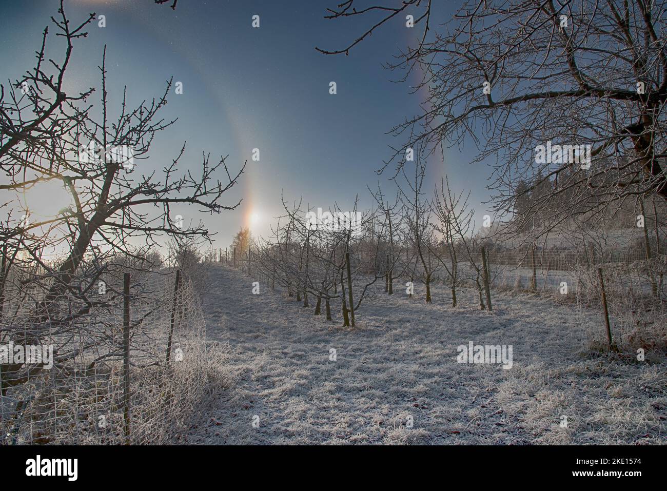 Part of a circular halo around the sun on a cold winter day. Picture taken at an orchard in the Rosalia Region in Burgenland in Austria. Stock Photo