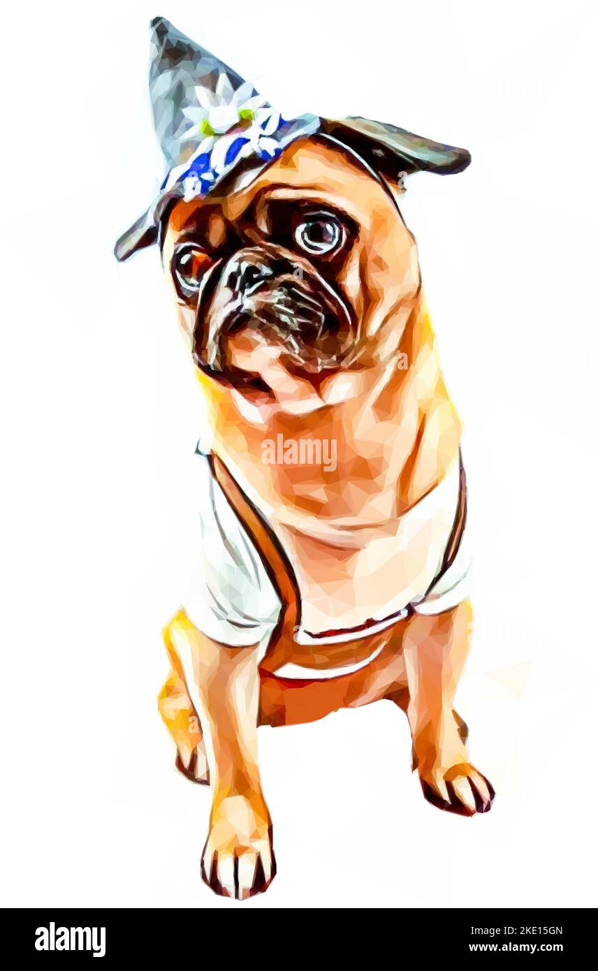 Pug dog puppy with Bavarian clothing. Leather pants and white shirt. Mascot for Oktoberfest. Vector illustration in low poly style. Stock Vector