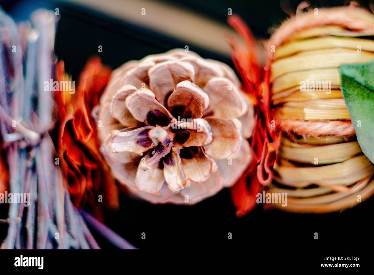 Pinecone with leaves hi-res stock photography and images - Alamy
