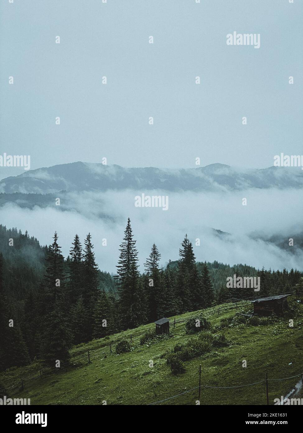 Mountain landscape with fog covered mountain range and pines Stock Photo