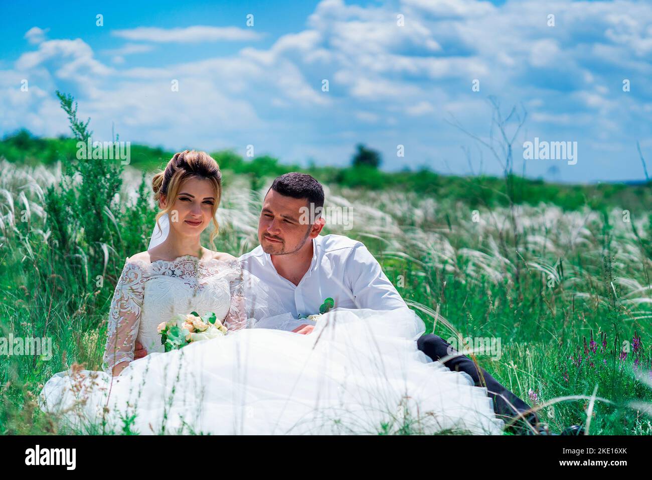 The bride and groom are sitting in a field Stock Photo - Alamy