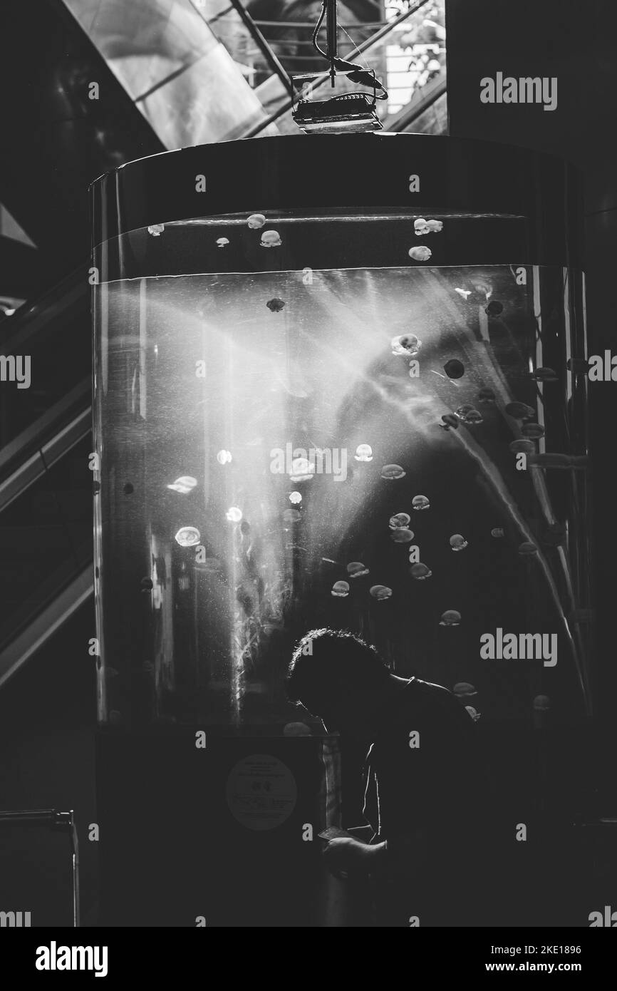 Film noir silhouette hi-res stock photography and images - Alamy