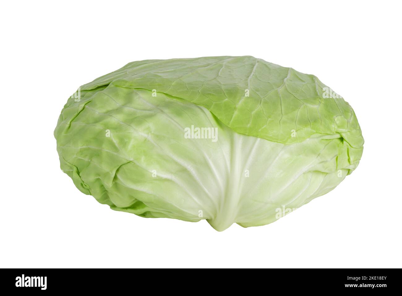 Flat or Taiwanese cabbage cabbage isolated on white background. Close