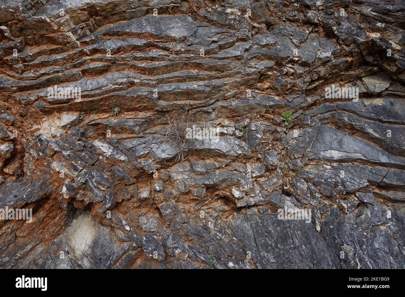 Texture rock texture, seamless stone Stock Photo - Alamy