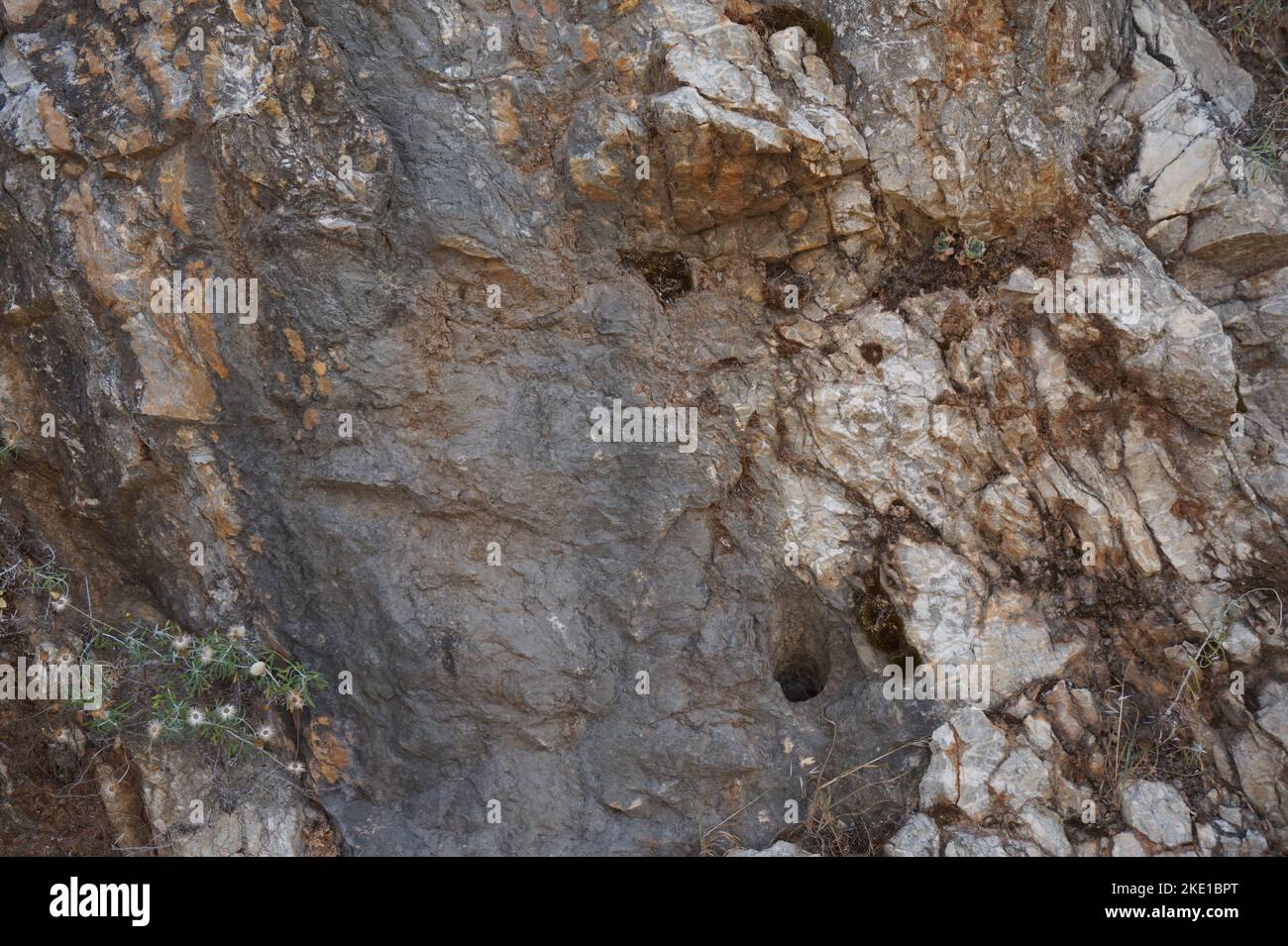 Texture rock texture, seamless stone Stock Photo - Alamy