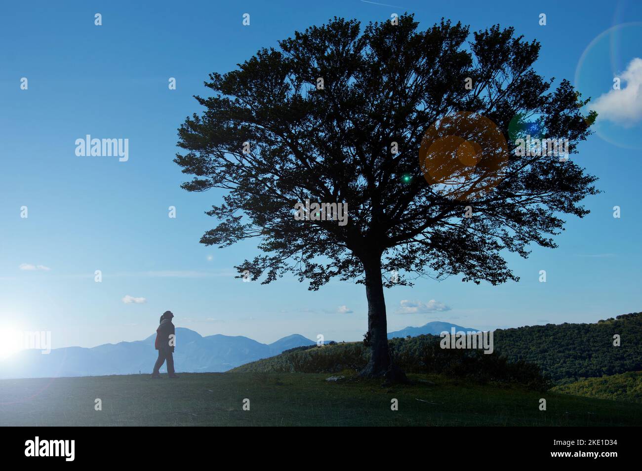 Girl and tree silhouette on dreamy mountain range horizon, personal growth, zen nature concept Stock Photo
