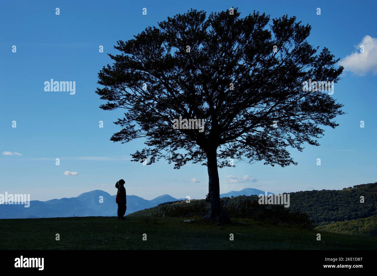 Girl and tree silhouette on dreamy mountain range horizon Stock Photo