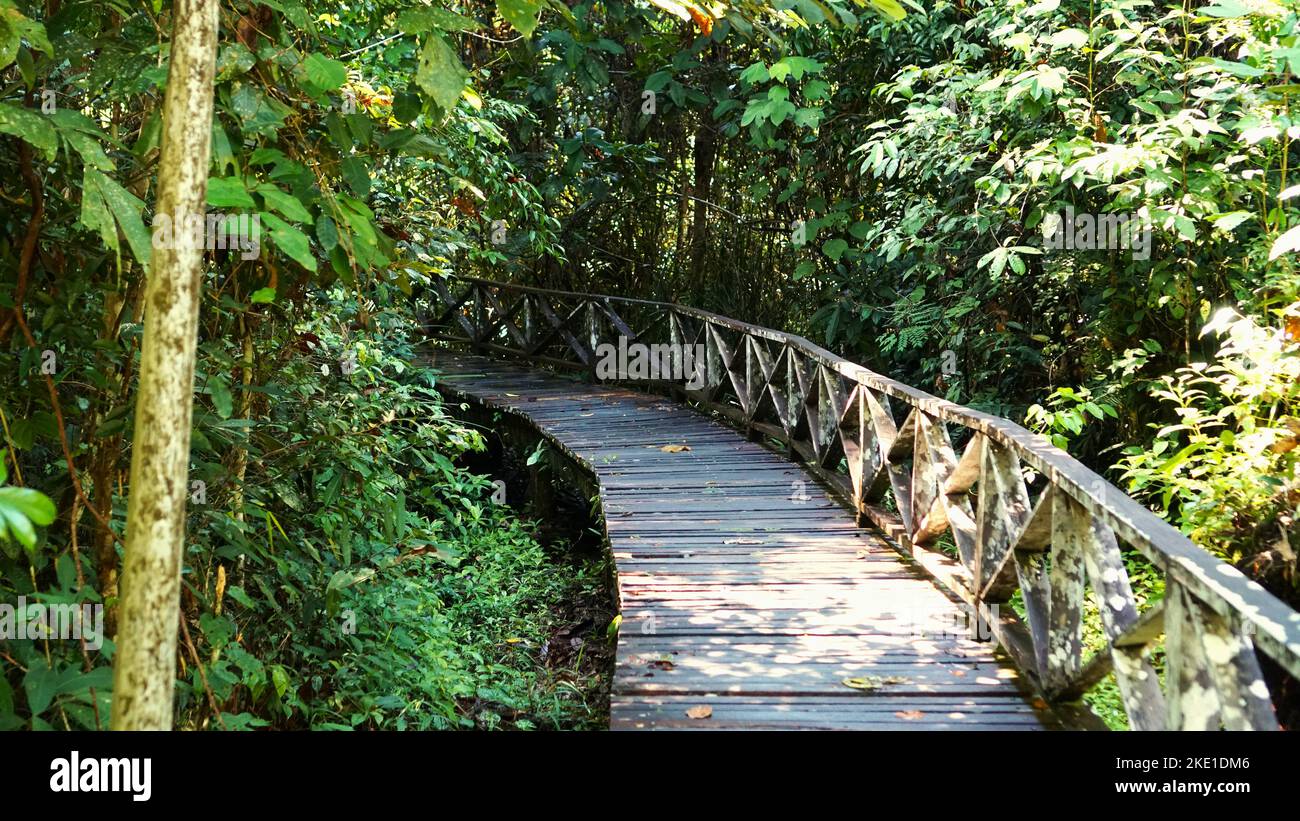A wooden pathway with vegetation on the Entrance to Niah Cave of Niah national park in Miri city Stock Photo