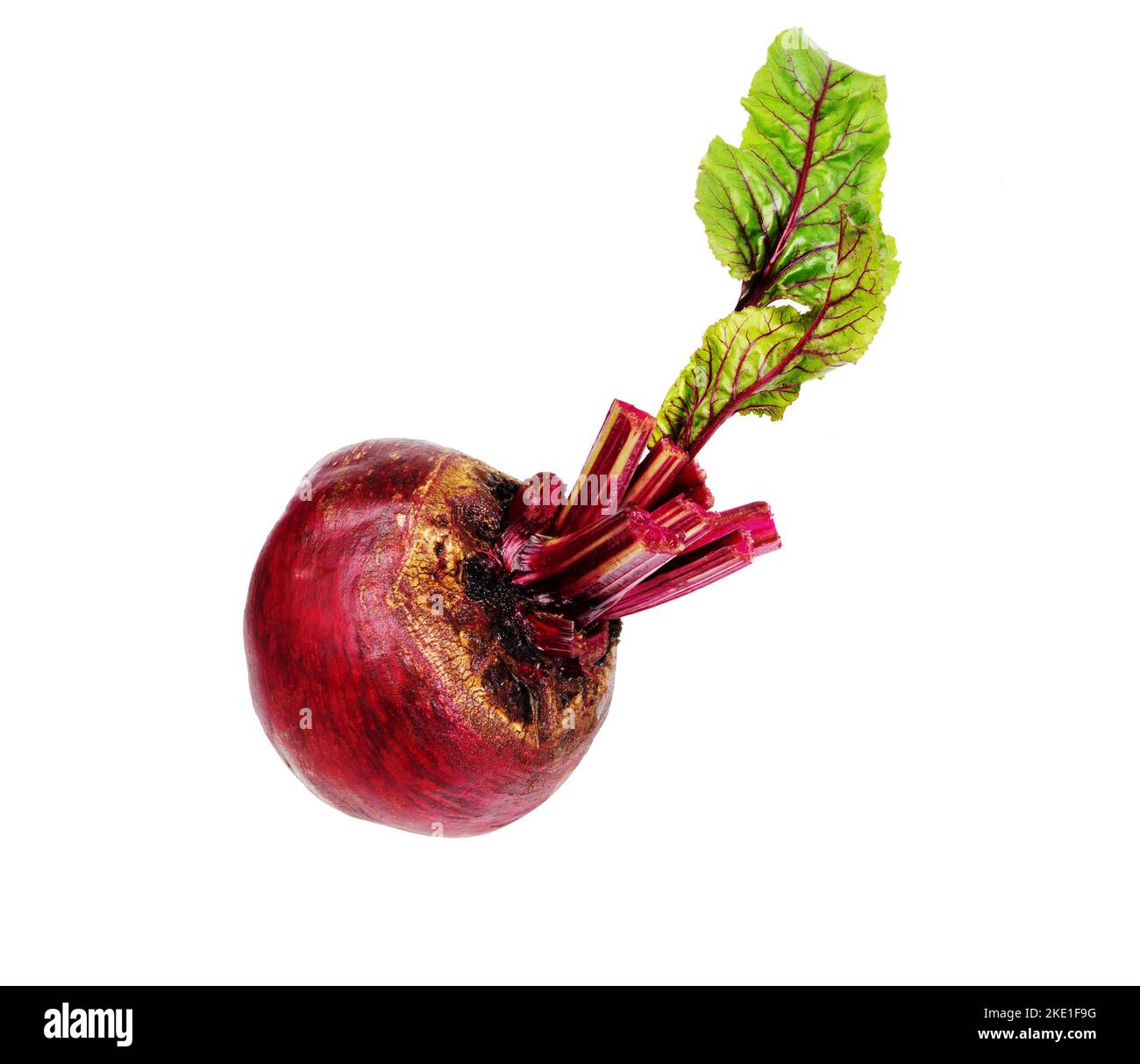 Beetroot on white . One fresh red beet with leaves isolated on white