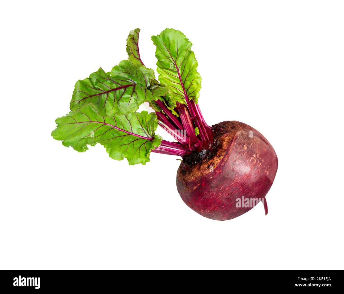 Beetroot on white . One fresh red beet with leaves isolated on white background Stock Photo