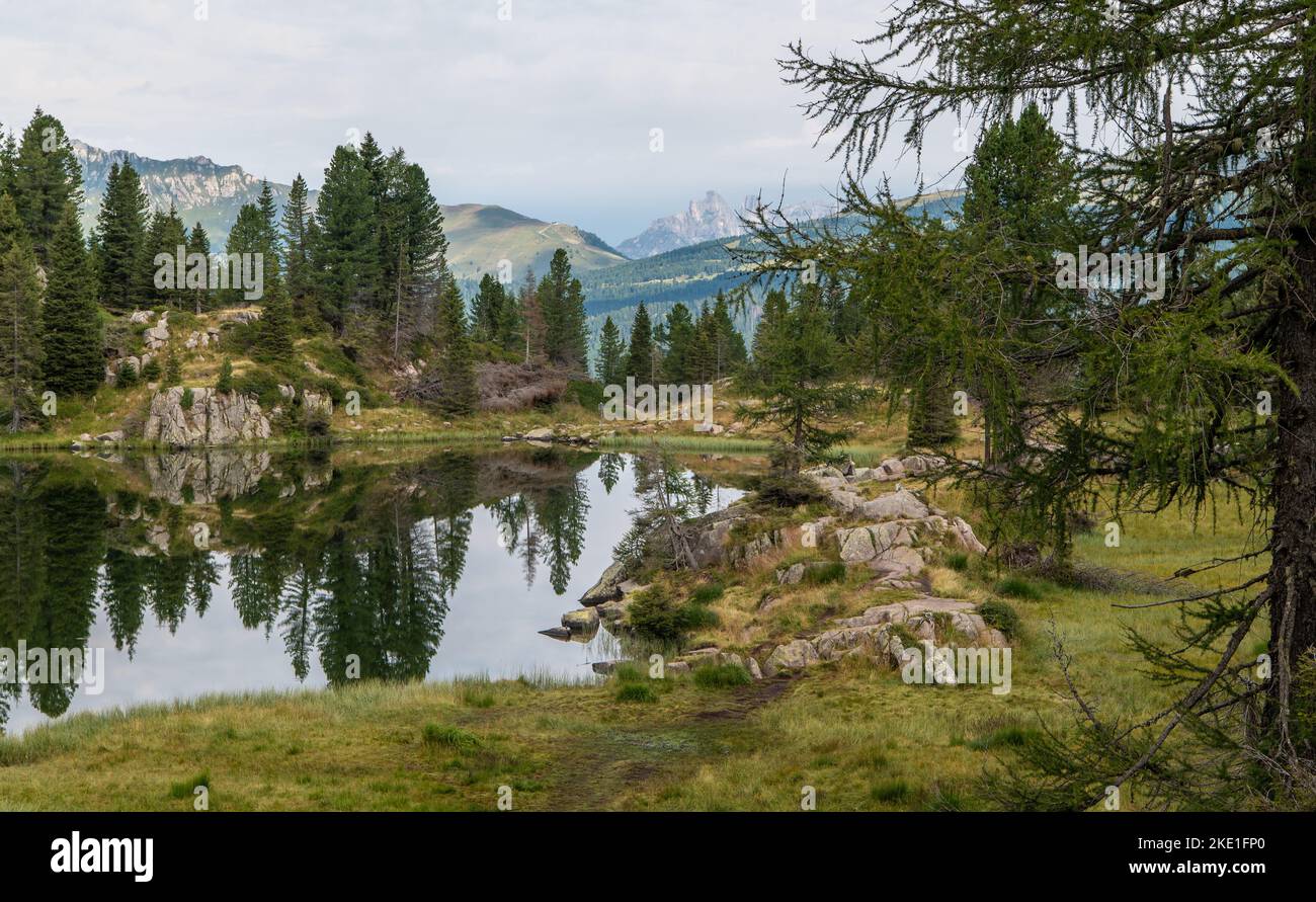 the Colbricon lakes in summer with the mountain reflected on the water ...
