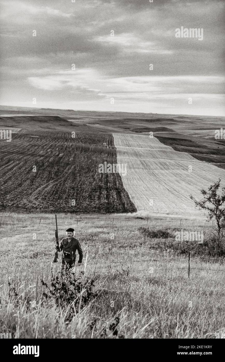 Landscape with an upland game hunter carrying a shotgun while hunting for birds in rural Morton County, North Dakota Stock Photo