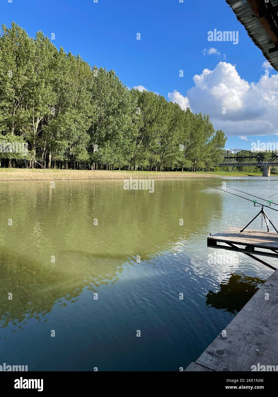 A vertical shot of a river with green trees and blue cloudy sky Stock ...