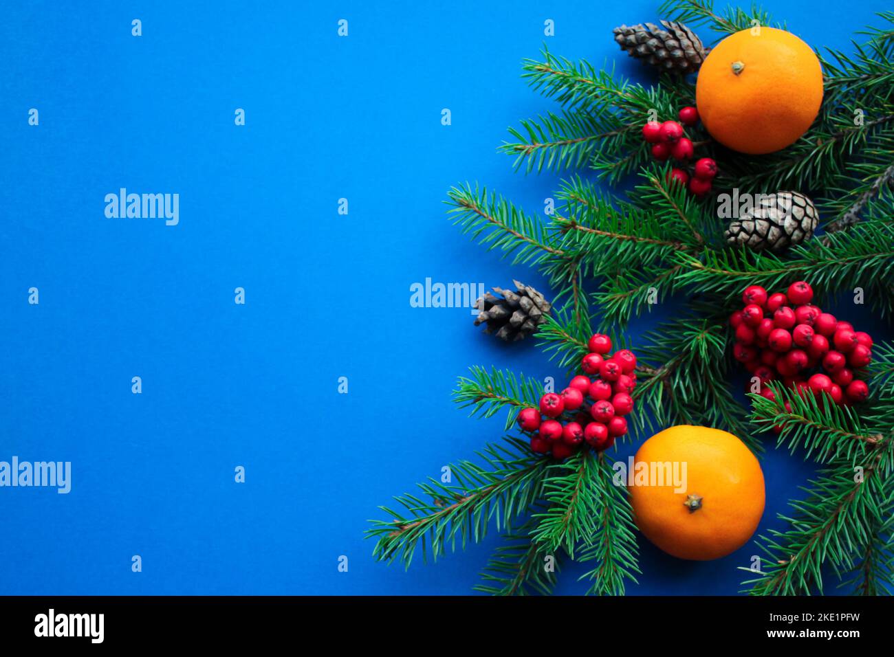 The spirit of Christmas: fir branches, cones, bright red rowan berries and orange tangerines on a bright dark blue background with space for text Stock Photo