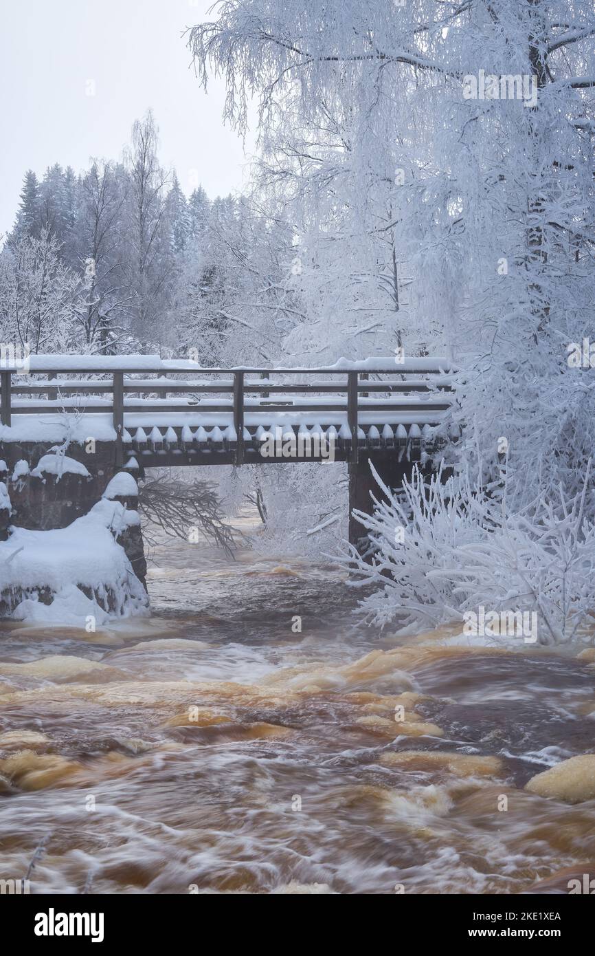 A vertical of a river flowing under an old bridge in a forest covered ...