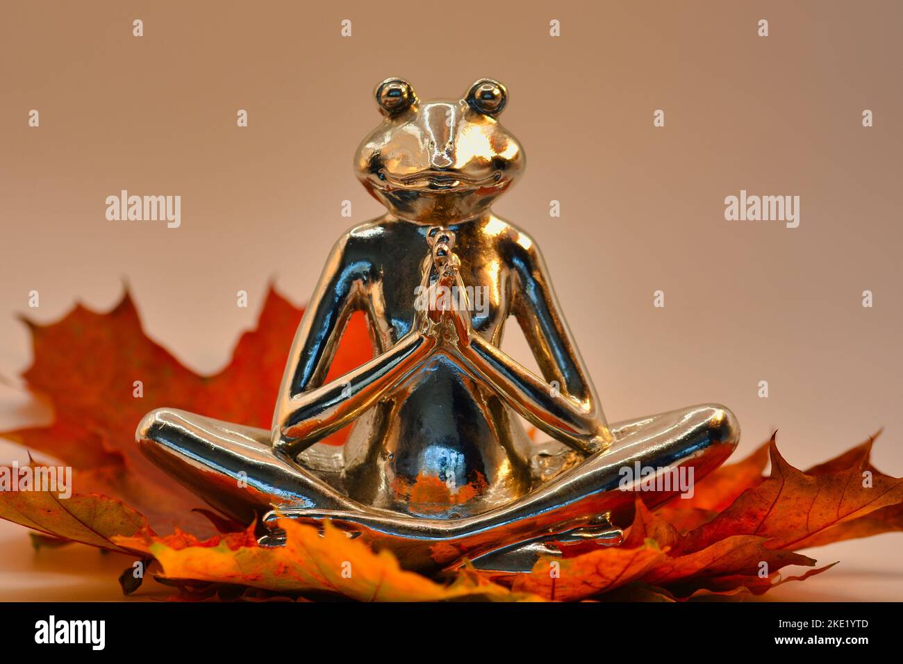 Yoga Frosch entspannt im Herbst Stock Photo