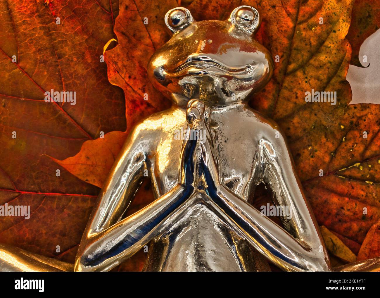 Yoga Frosch entspannt im Herbst Stock Photo