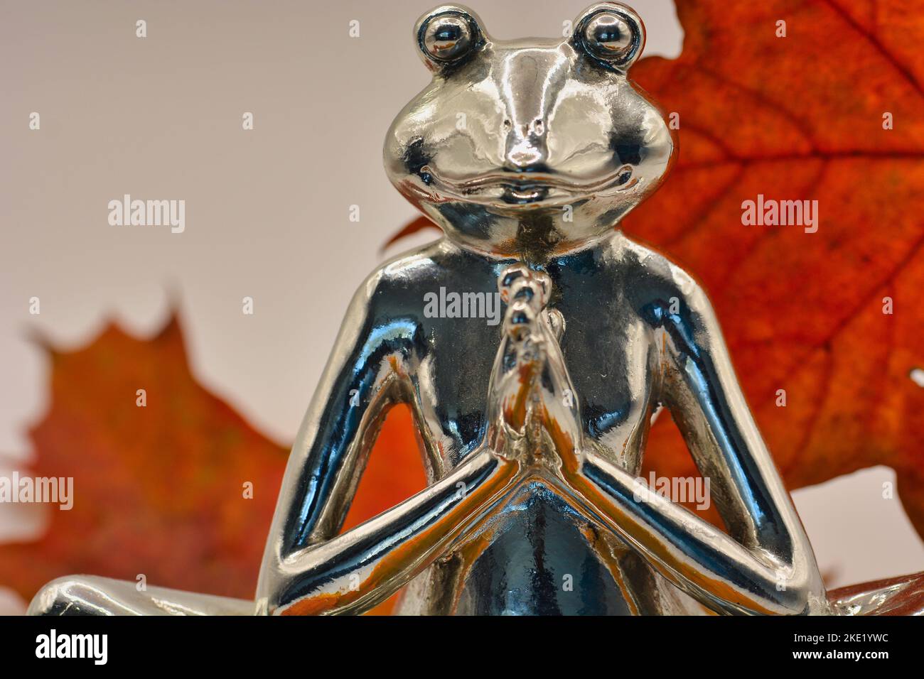 Yoga Frosch entspannt im Herbst Stock Photo