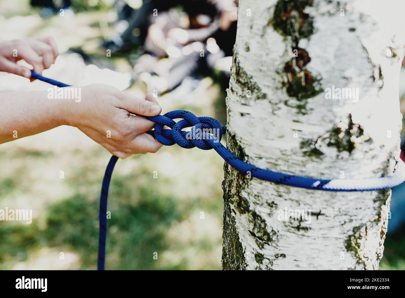 Women hands pull a strong blue rope tied to a birch tree. Professional zip  line or cable car installation. Time for fun and relaxation. Family weekend  Stock Photo - Alamy
