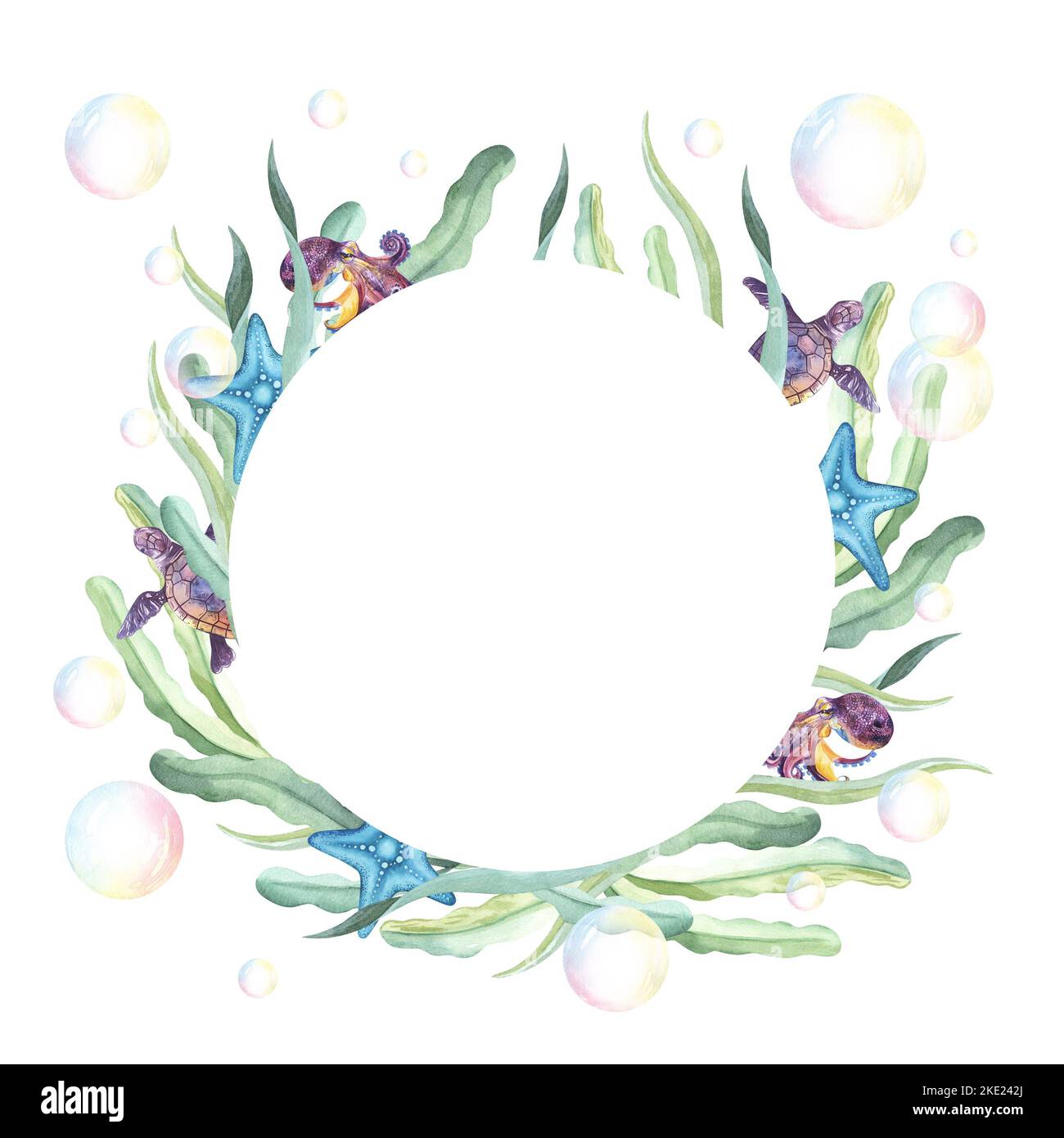 Shell Octupus Frame Watercolor Underwater life Frames with Octopus, sea shells, algae ...