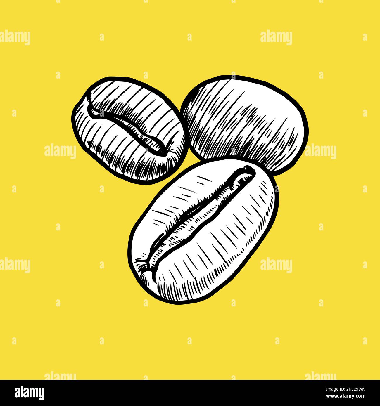 Coffee Bean Icon. Sketch and Vintage. - Vector Stock Vector Image & Art ...