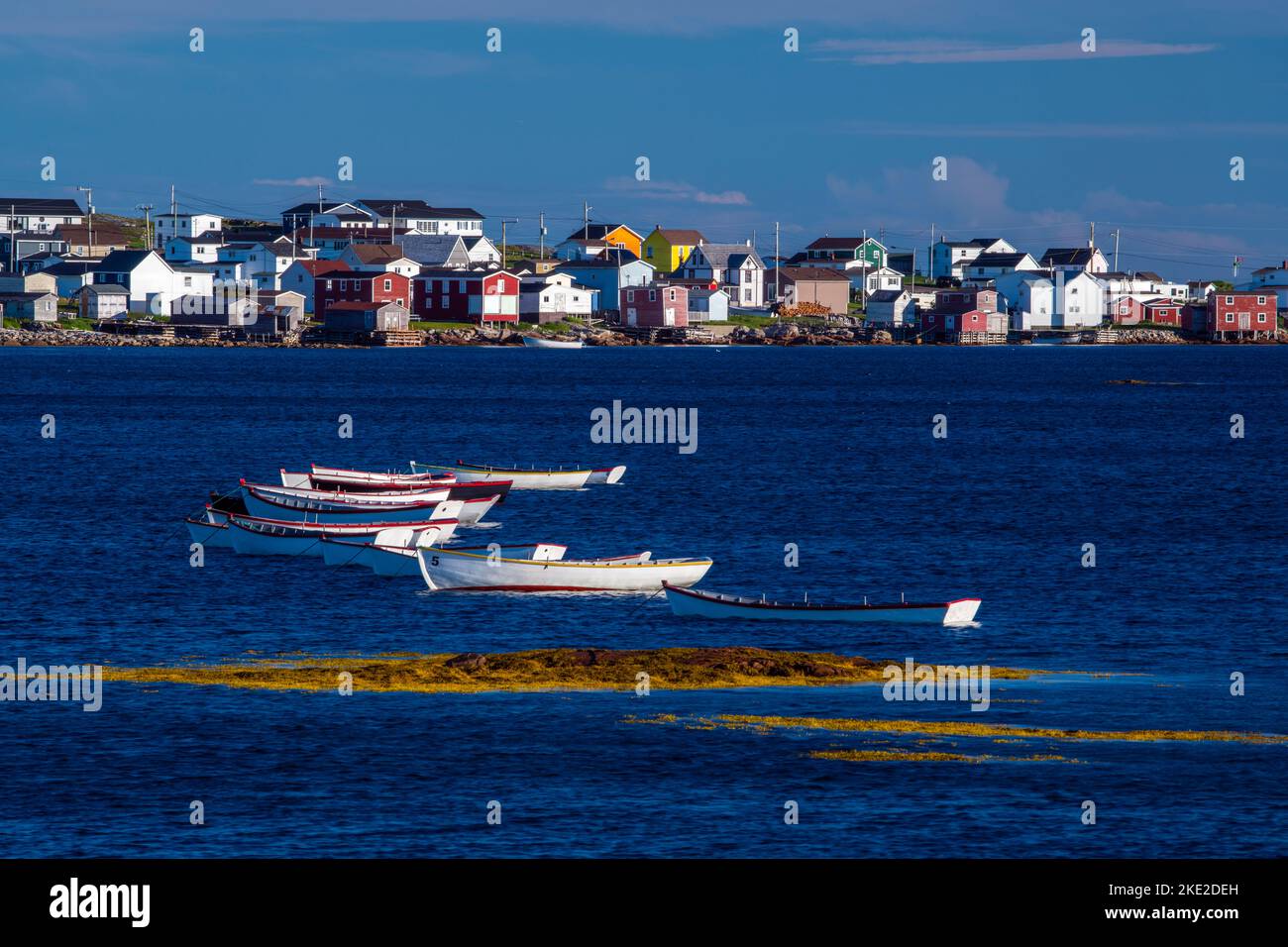 Joe batts arm hires stock photography and images Alamy