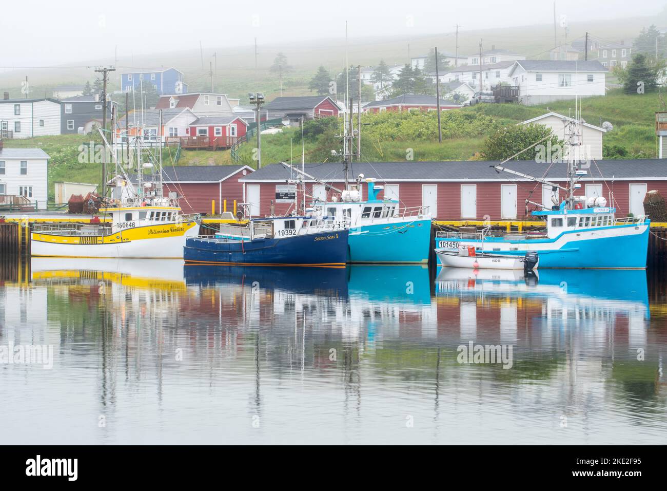 Colourful boats and house in the fog, Branch, Newfoundland and Labrador