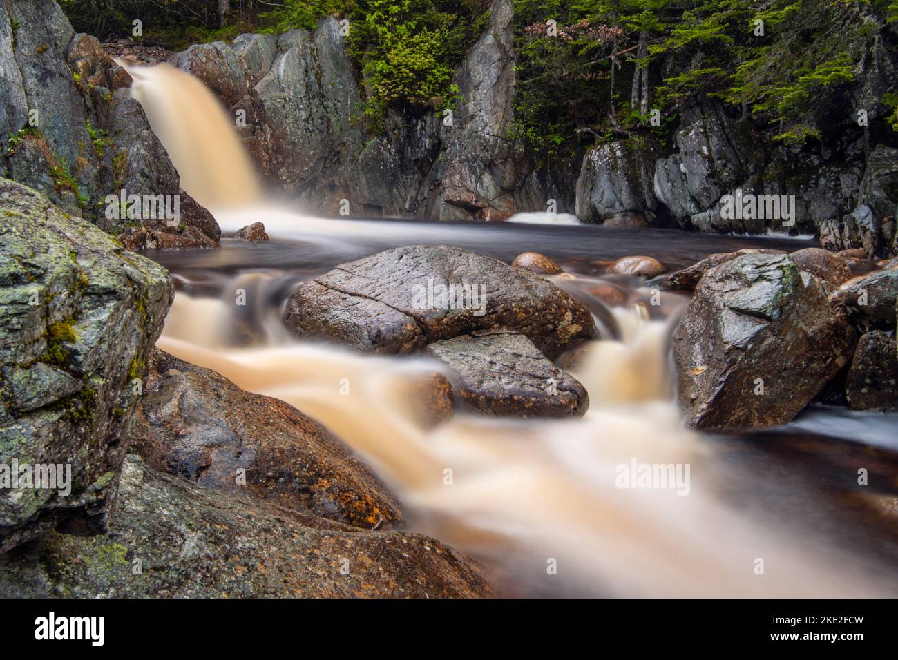 Rushing water and polished rocks at Small Falls, J.T. Cheeseman Provincial Park, Newfoundland and Labrador NL, Canada Stock Photo