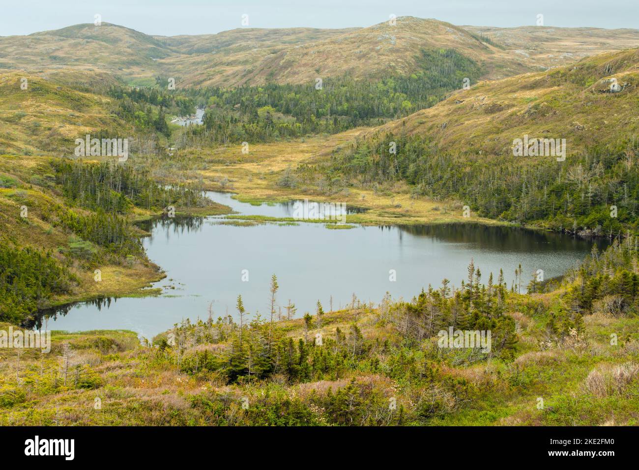 A boreal pond in a treeless landscape, Hwy 470 near Burnt Islands