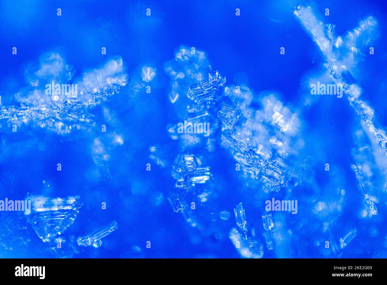 Close up of snow crystals illuminated by blue sunlight. Winter background. Macro of real snowflake: large stellar dendrites with hexagonal symmetry, l Stock Photo
