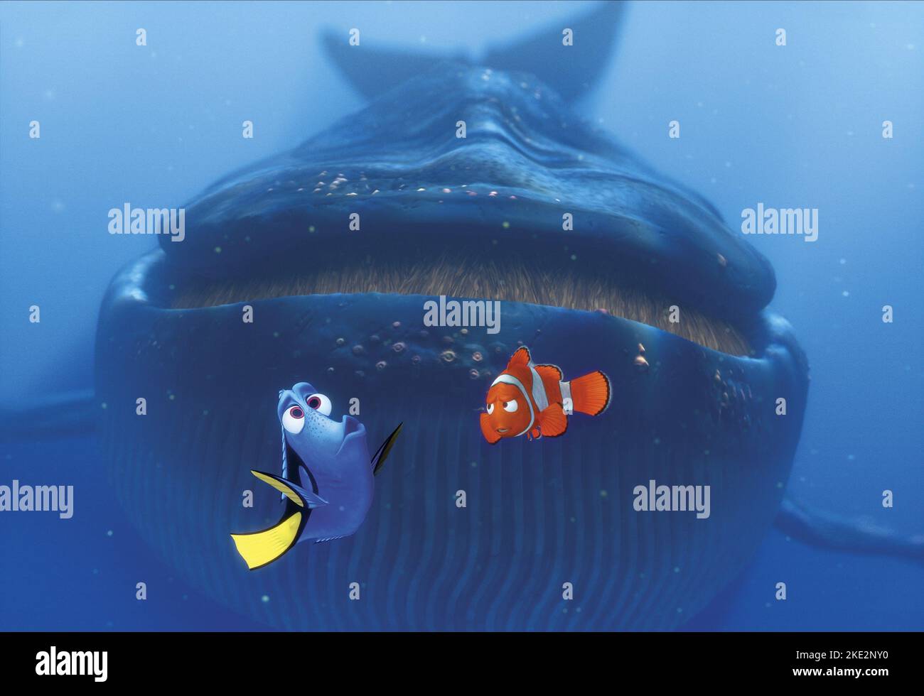 FINDING NEMO, DORY, MARLIN, BLUE WHALE, 2003 Stock Photo