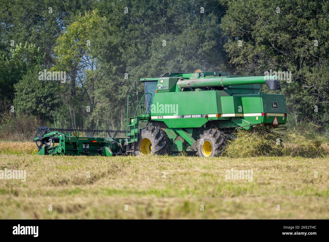 A farmer operating a John Deere combine harvesting rice in a rice field