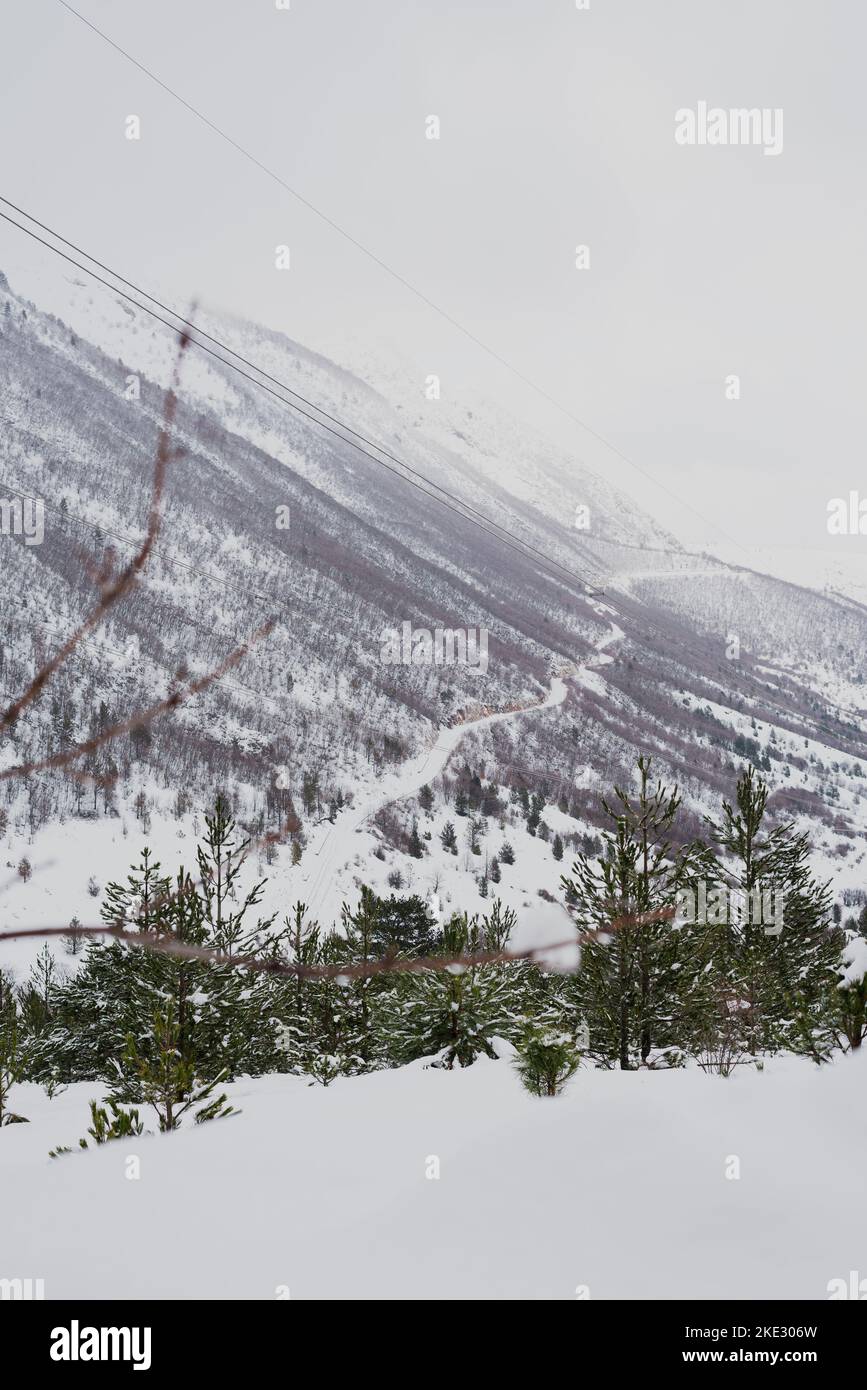 Snow covered trees, beautiful Bosnian mountain Prenj, Rujista.  Winter in Bosnia. Idyllic atmosphere. Stock Photo