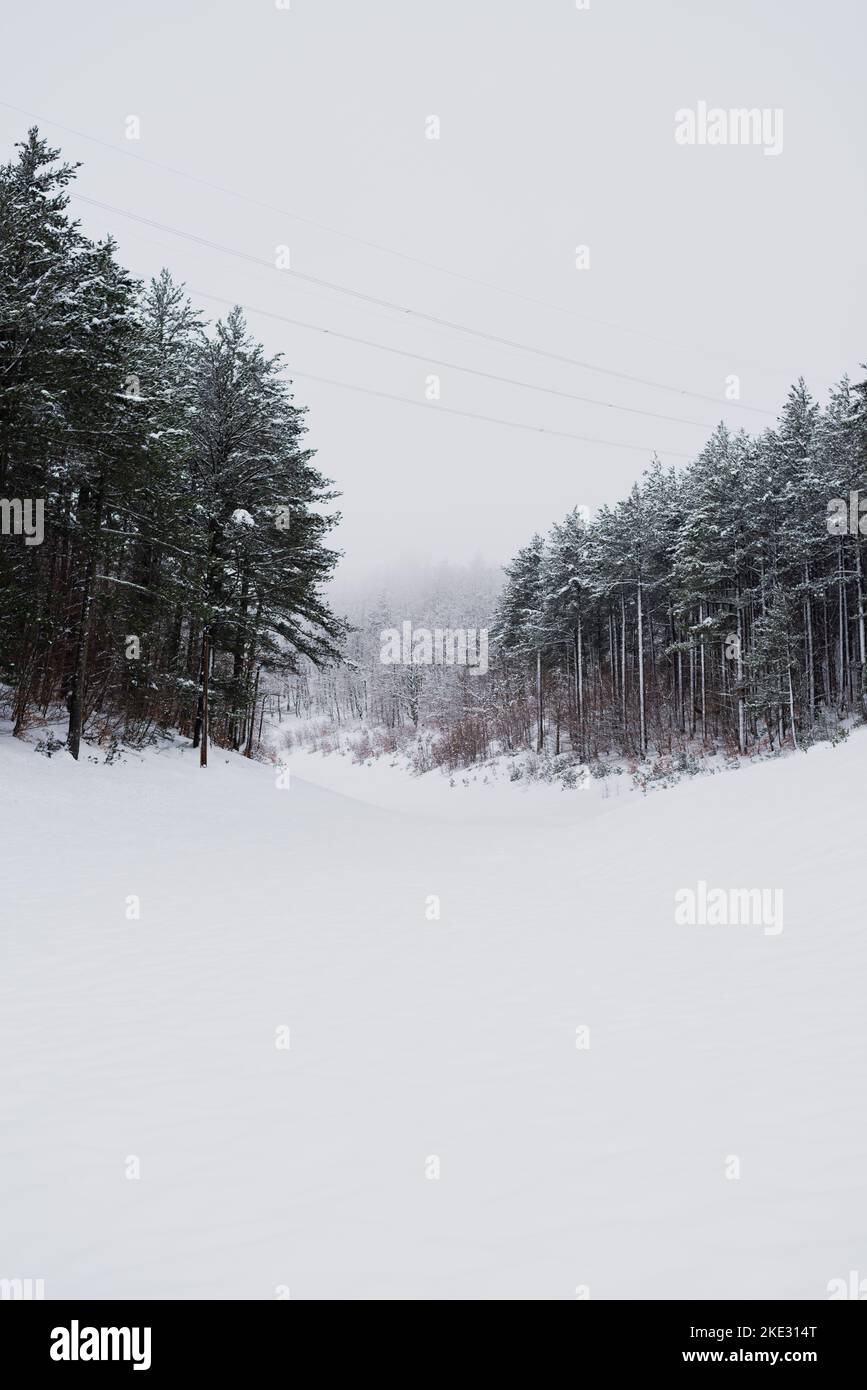 Snow covered trees, beautiful Bosnian mountain Prenj, Rujista.  Winter in Bosnia. Idyllic atmosphere. Stock Photo