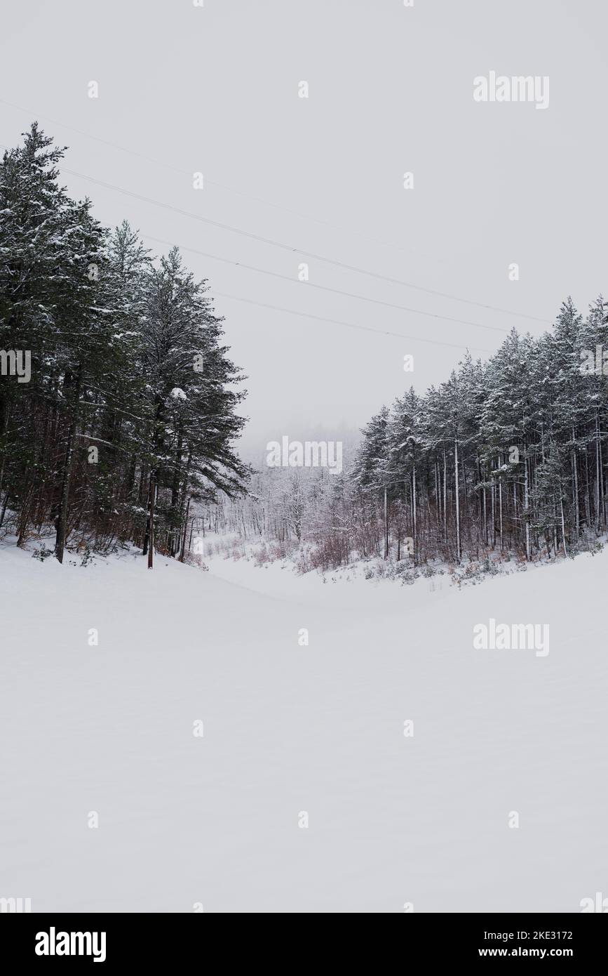 Snow covered trees, beautiful Bosnian mountain Prenj, Rujista.  Winter in Bosnia. Idyllic atmosphere. Stock Photo