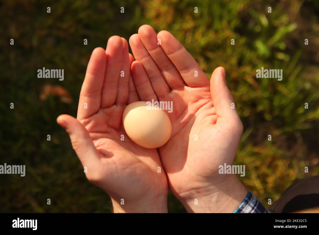 Defocus human hands hold a chicken egg. Top view male hands holding one brown egg. Easter. Out