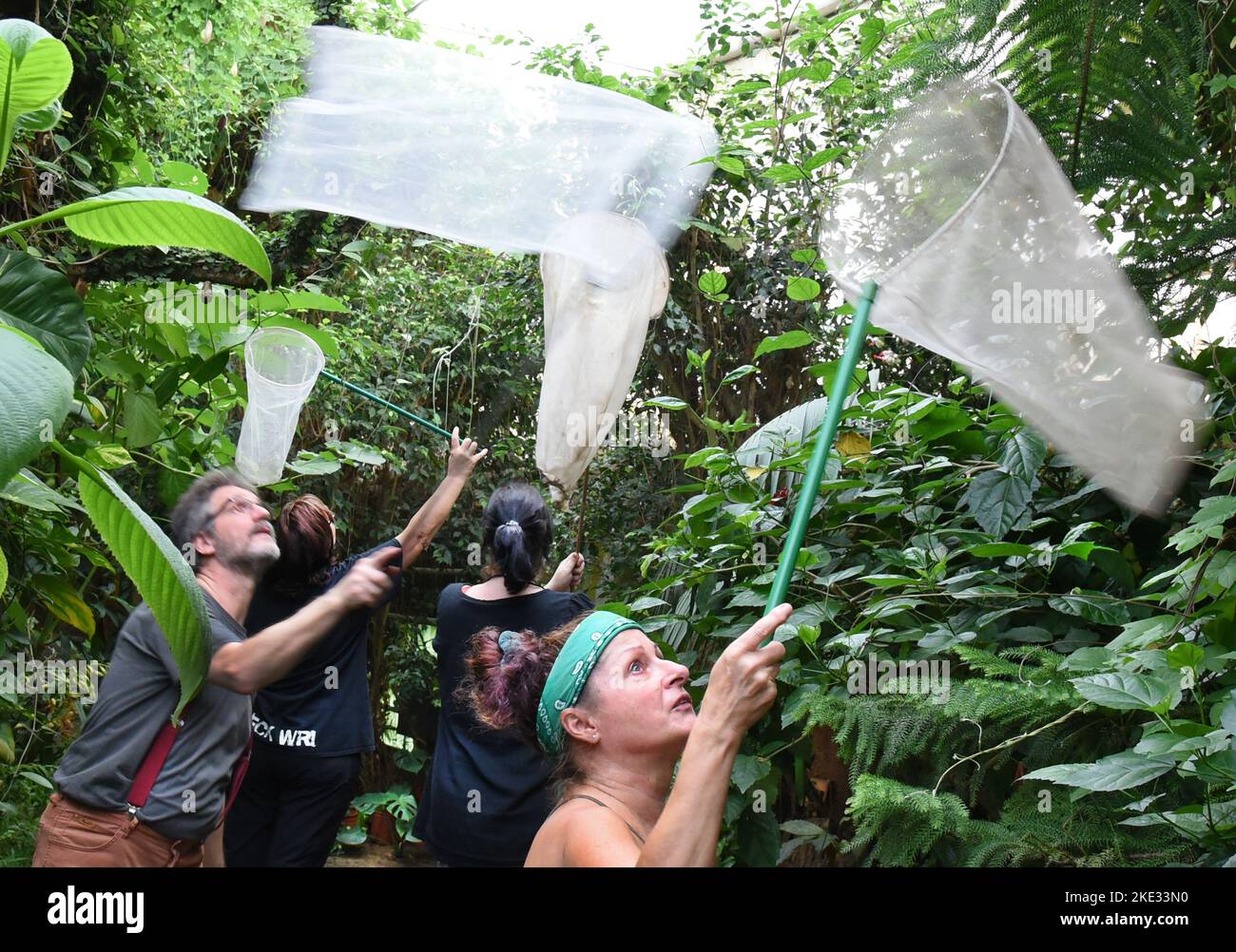 07 November 2022, SaxonyAnhalt, Wittenberg Lutherstadt In the