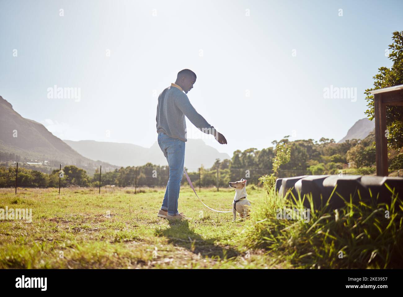Man training dog pets at park, garden and outdoors on a leash with sky background. Black man walking a jack russell terrier puppy animal and learning Stock Photo