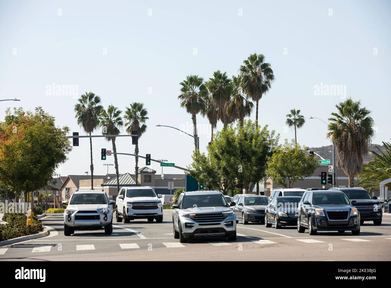 Palm tree framed view of cars driving through downtown San Marcos