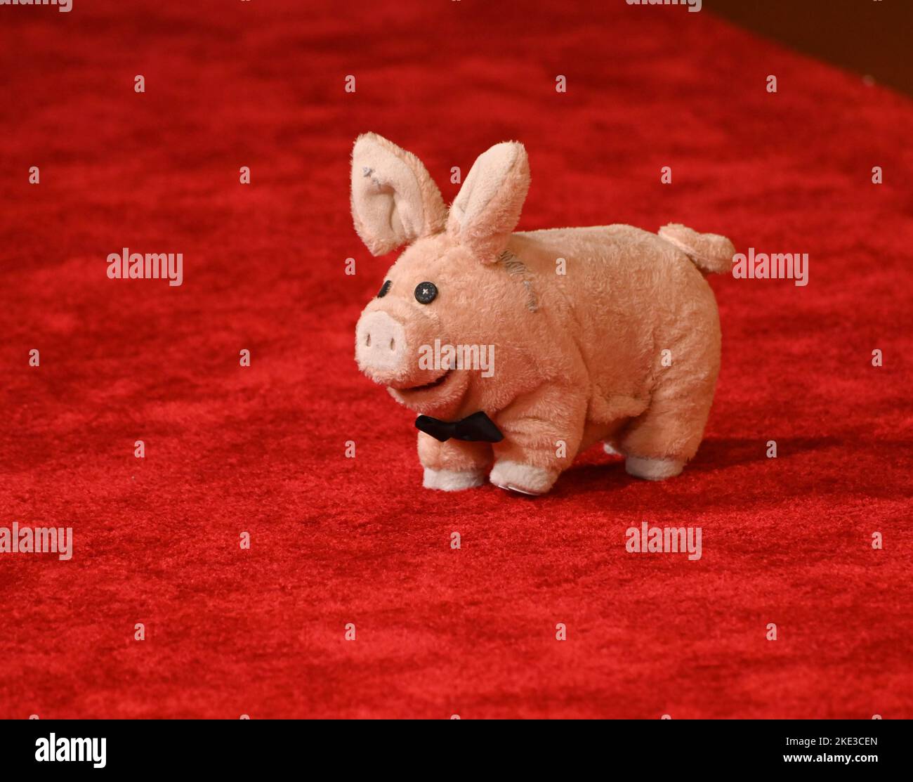 Pig From Slumberland Toy