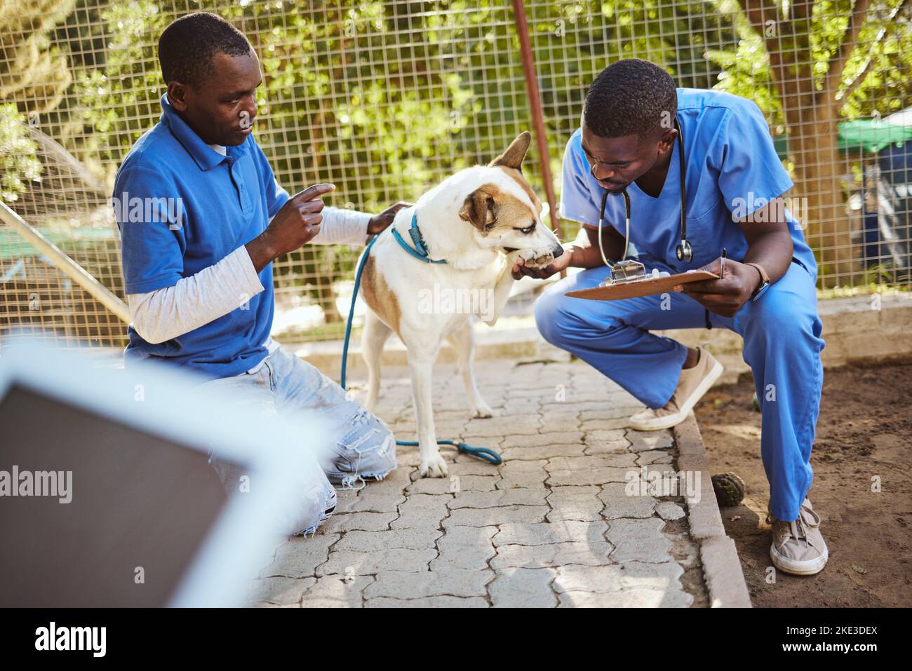 Animal, shelter and care for dog at vet of veterinary men helping pet in checkup holding clipboard for examination. Healthcare, teamwork and Stock Photo