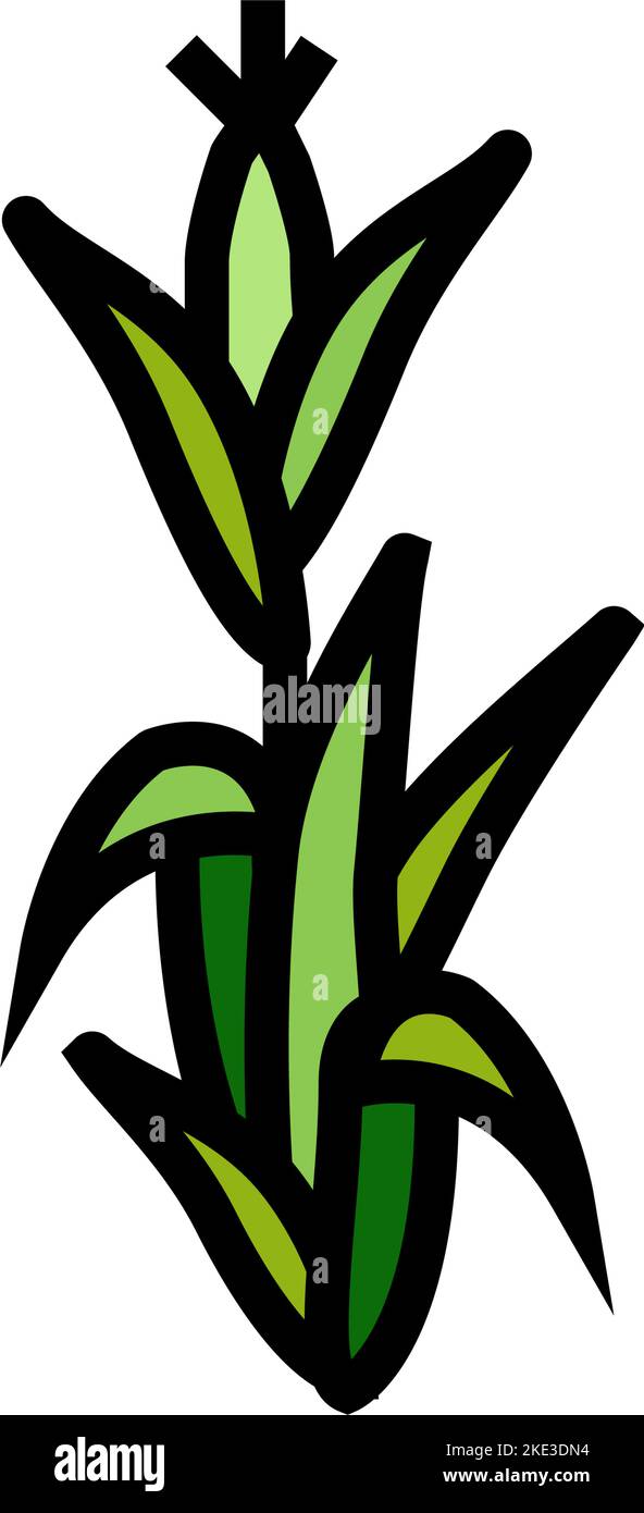 corn plant green color icon vector illustration Stock Vector Image ...