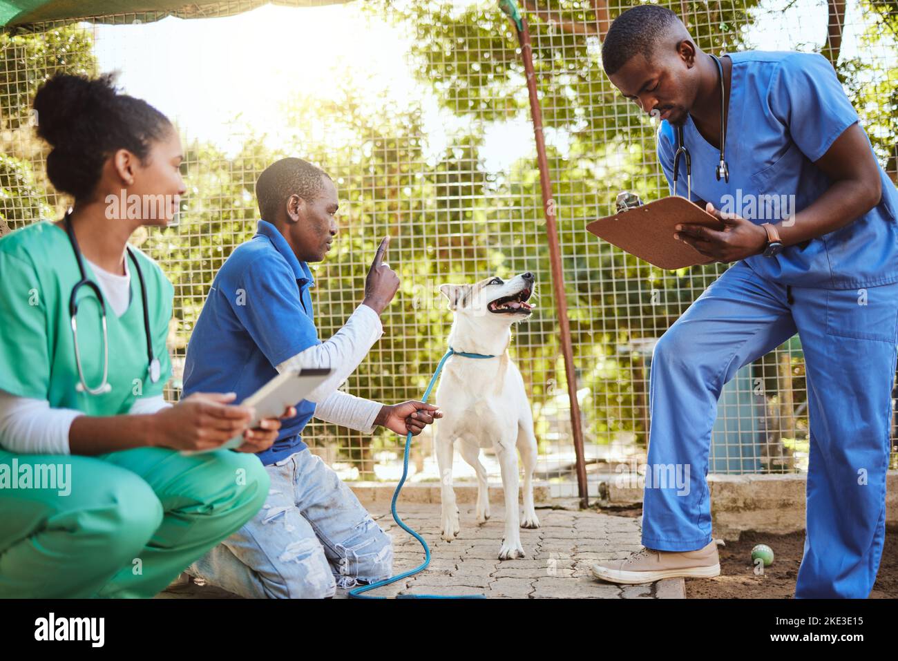 Volunteer veterinary doctors, dog at animal shelter and medical checkup for puppy before adoption. Care, charity and vet doctor for animal healthcare Stock Photo